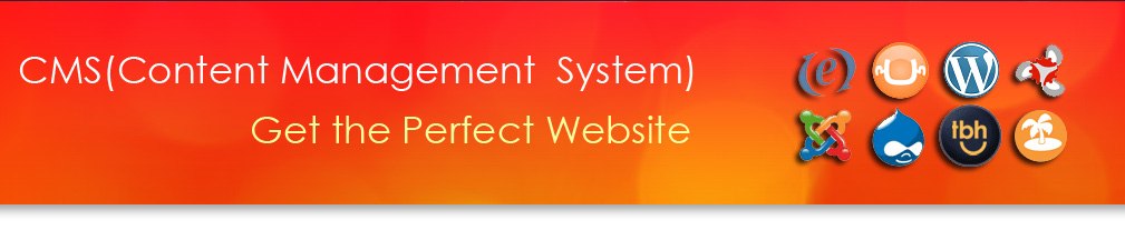 cms web design company Ahmedabad India